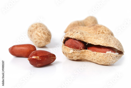 fruits of peanut isolated on white background