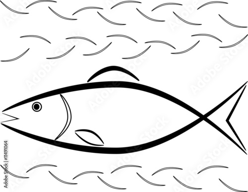 Canvas Print fish
