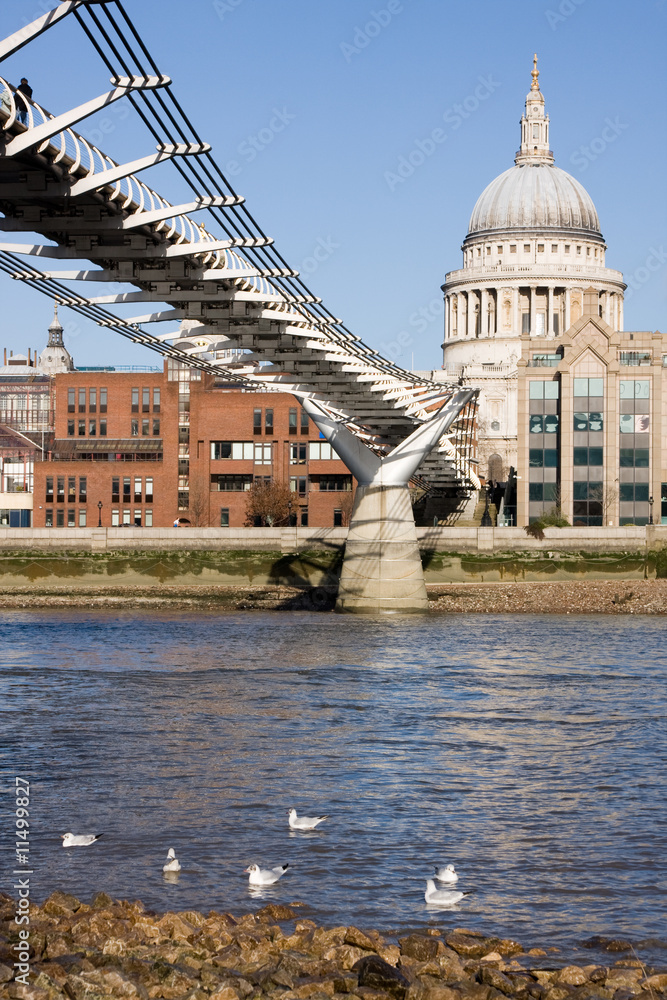 Fototapeta premium Millennium Bridge and St. Pauls Cathedral