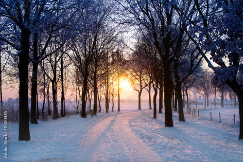 winter sunset