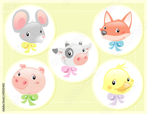 Baby Animals