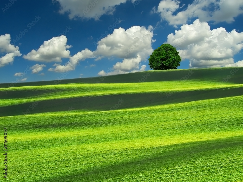 Fototapeta premium Clouds over the empty field