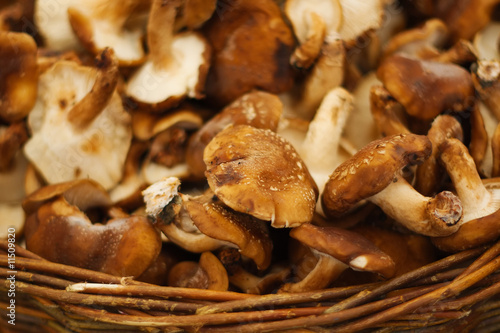 Brown mushrooms in wicker basket