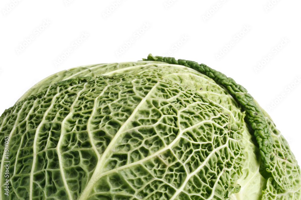 Fototapeta premium Fresh cabbage
