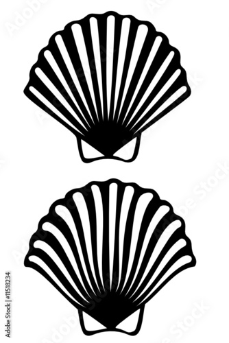 A scallop shell tribal tattoo