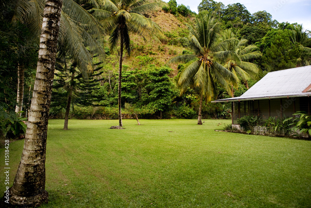 Naklejka premium Tropical Back Yard