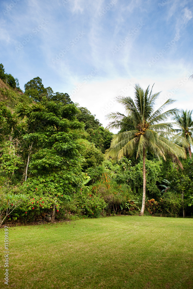 Fototapeta premium Tropical Back yard