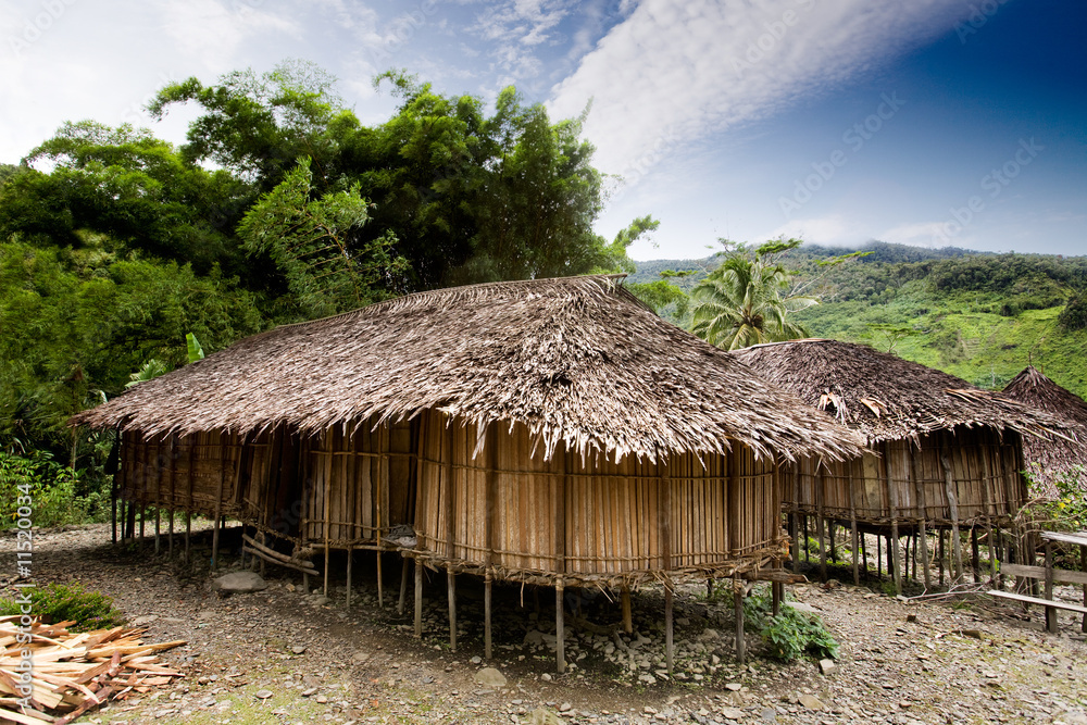 Village Hut Village Hut