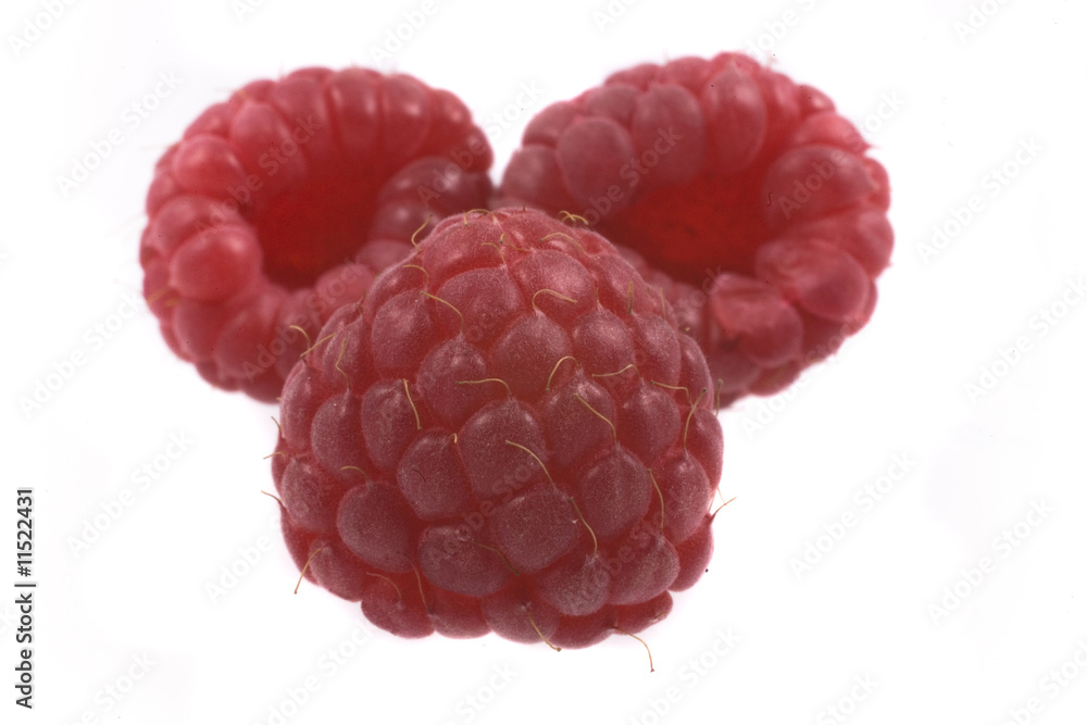 raspberry raspberry