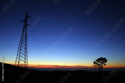 Torre eléctrica e arvóre ao pôr-do-sol