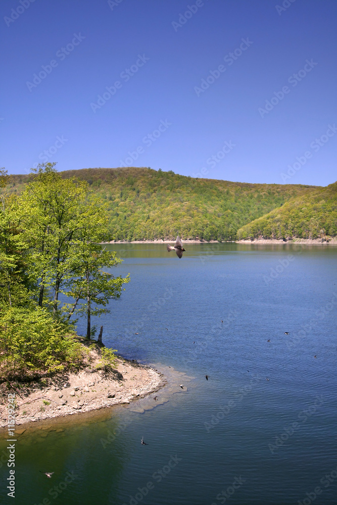 Scenic Landscape Scenic Landscape
