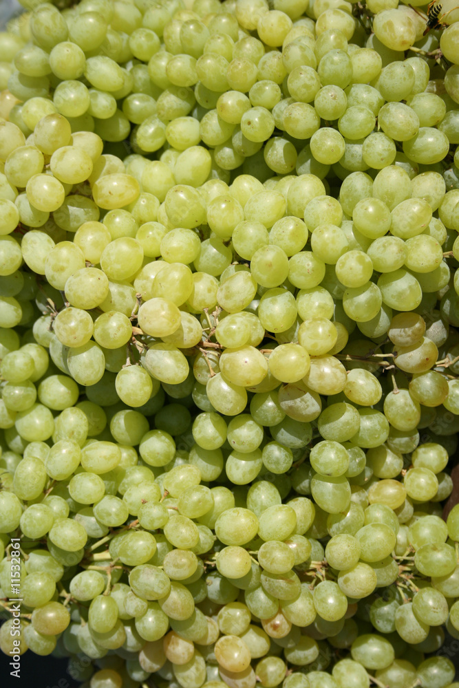 Grapes background