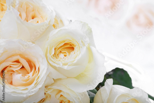 White roses with yellow centers