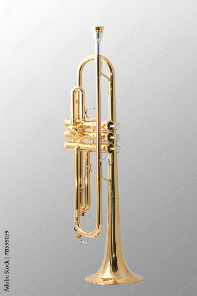 Fototapeta premium gold trumpet