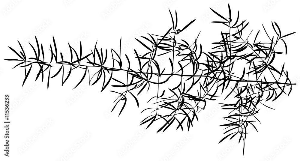 Obraz premium Branch Silhouette 01 - detailed illustration