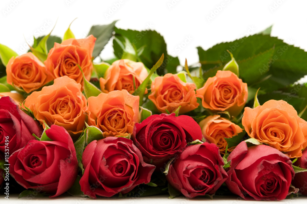 Naklejka premium bouquet of colorful roses on white background