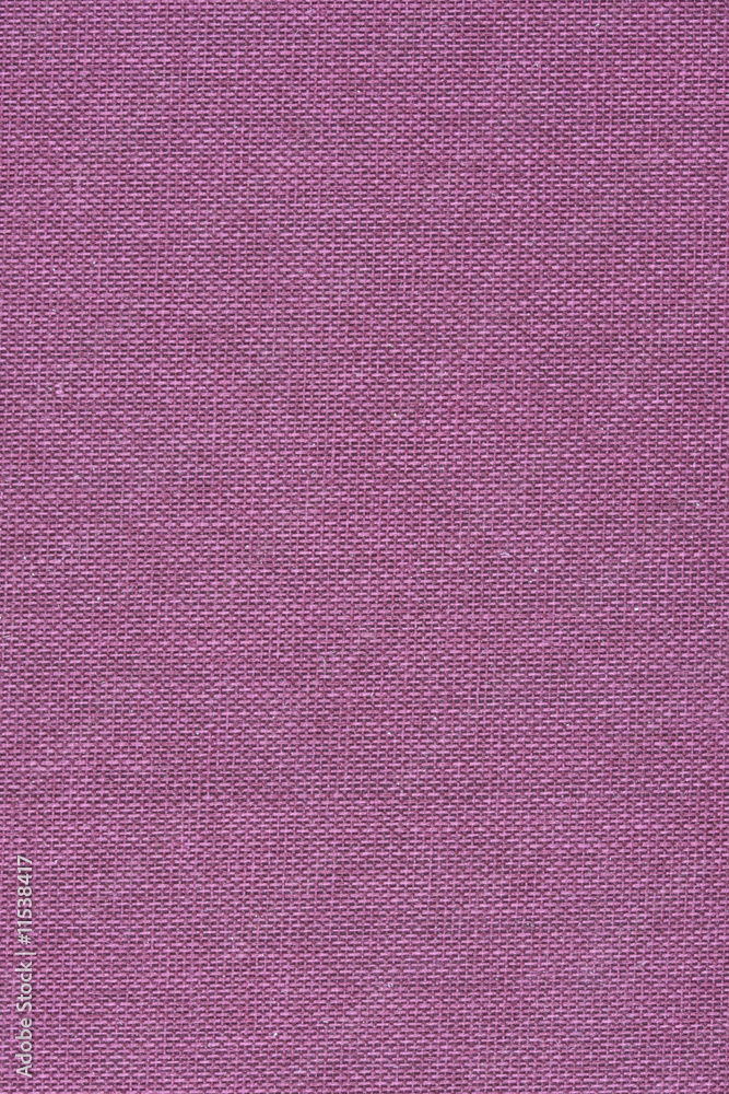 Fototapeta premium pink canvas background