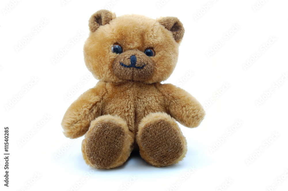 Fototapeta premium teddy bear isolated on white background