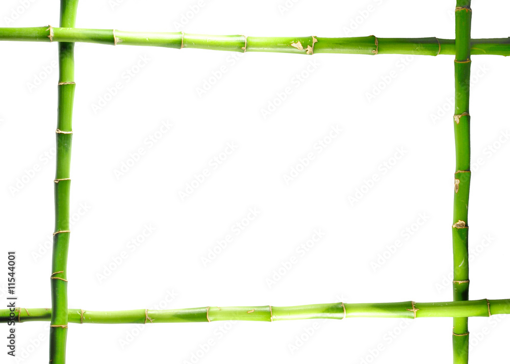 Fototapeta bamboo frame isolated