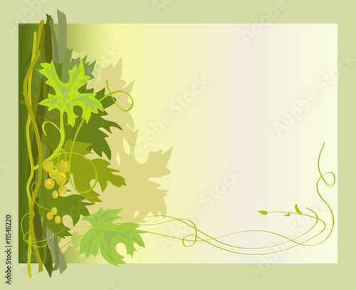 frame