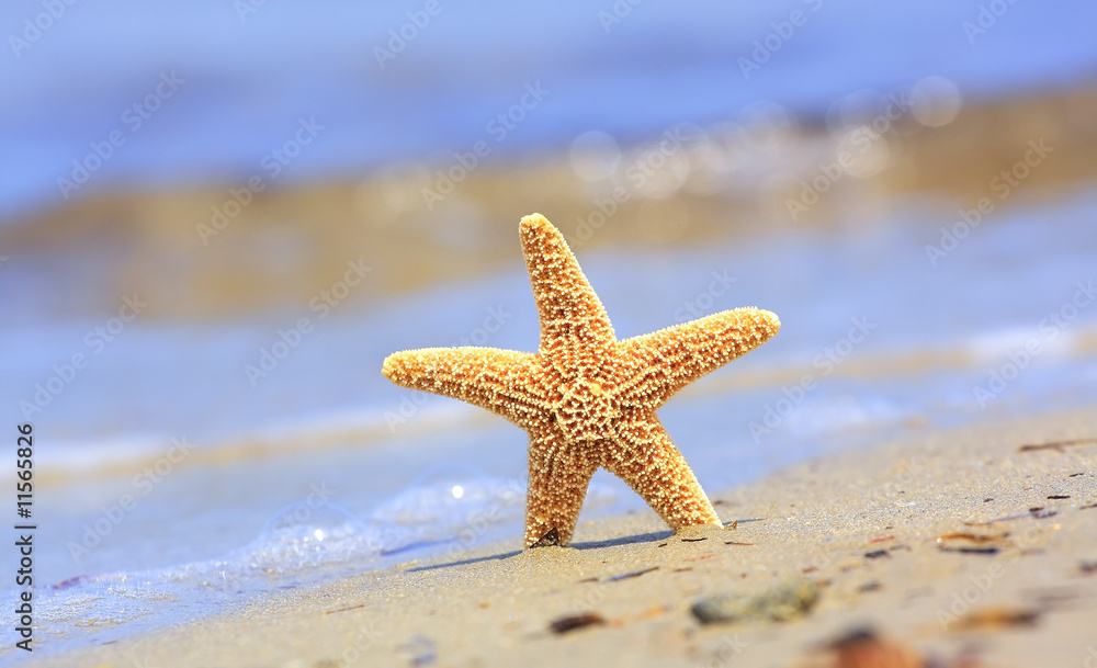 Starfish and ocean wave on sandy tropical beach Starfish and ocean wave on sandy tropical beach