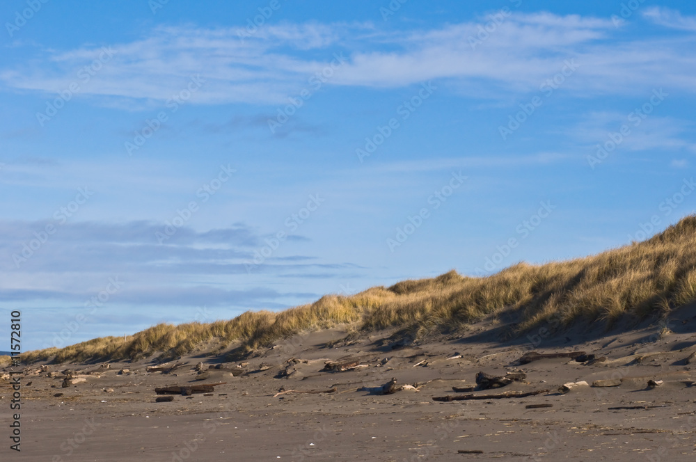 Pacific coast sand dune