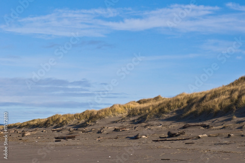 Pacific coast sand dune