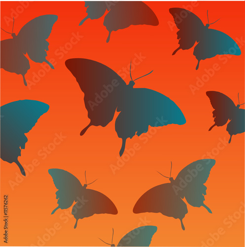Schmetterling Illustration