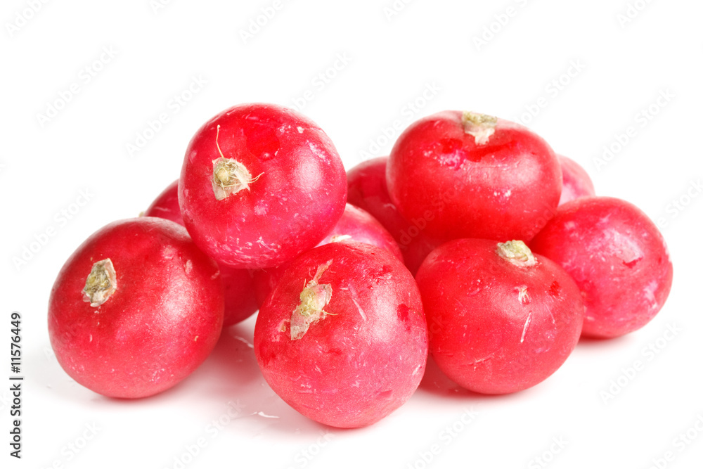 Fresh radish Fresh radish