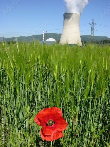 Kernkraftwerk und Natur/nuclear power and nature