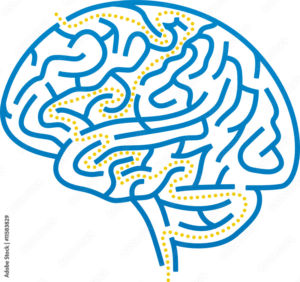 brain maze
