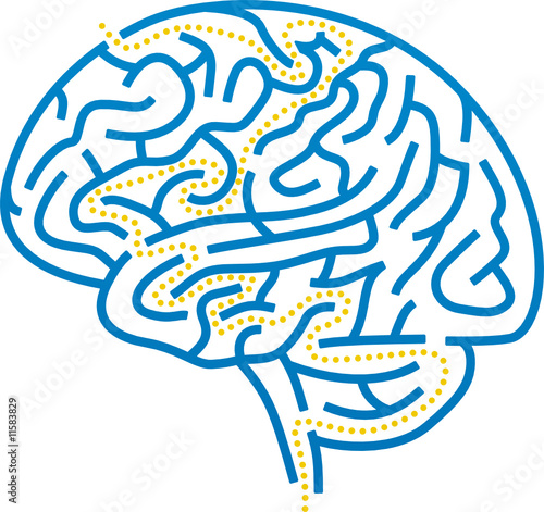 brain maze