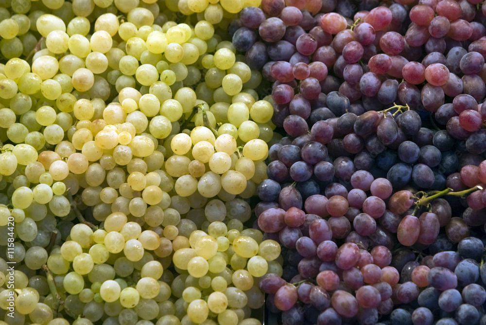 Uvas