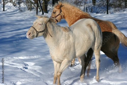 Sandy und Axel im Schnee 2