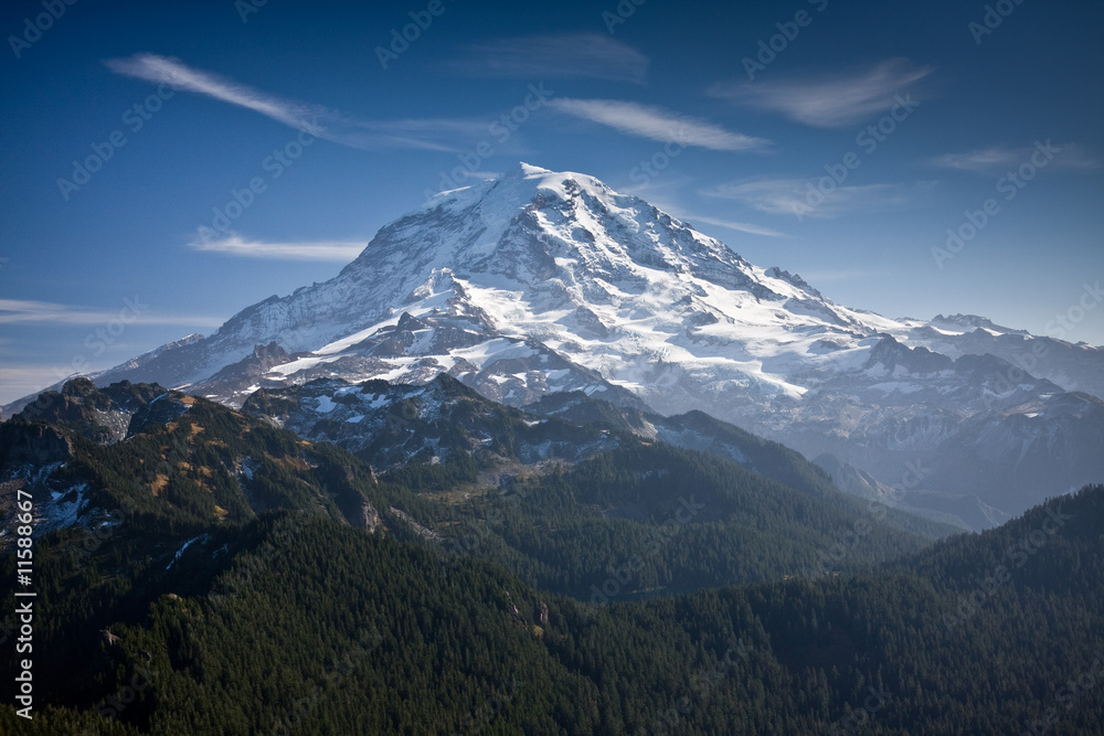 Naklejka premium View of Mt Rainier