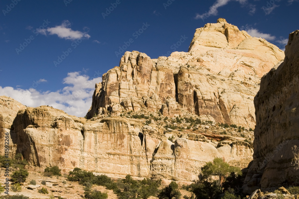 canyon walls