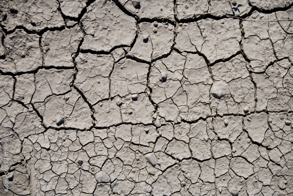 Mud Texture II