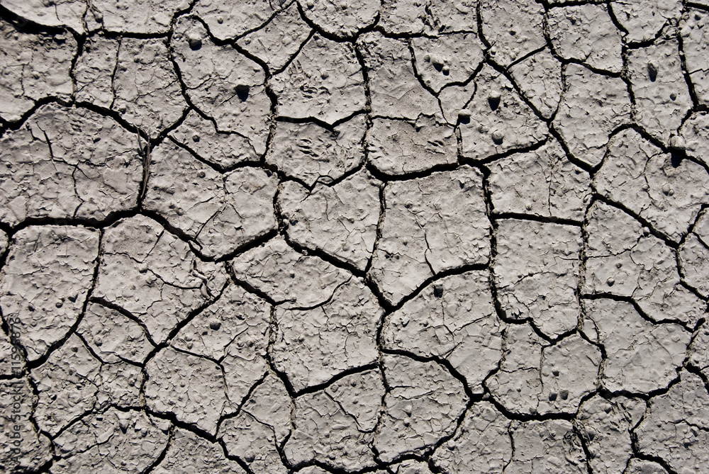 Mud Texture III Mud Texture III