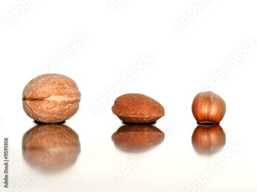 Wallpaper Mural Nuts Torontodigital.ca