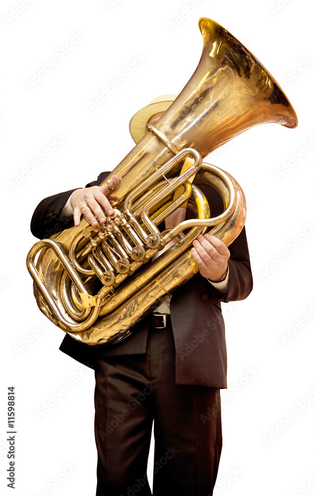 Obraz premium Musician