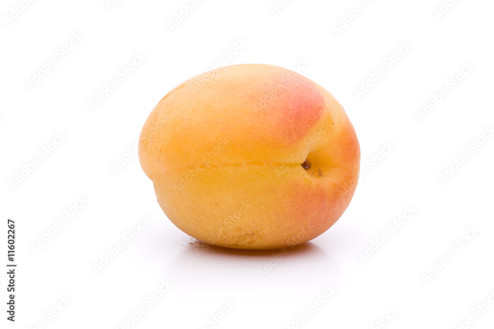 Einzelne Aprikose auf weißem Hintergrund