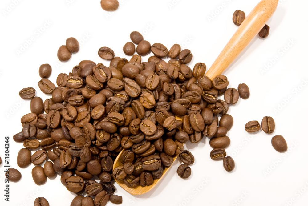 Fototapeta premium grain of coffee in a cup