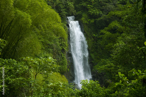 Waterfall in rainforest jungle © Erkki Tamsalu