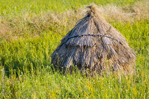 Rice Bale