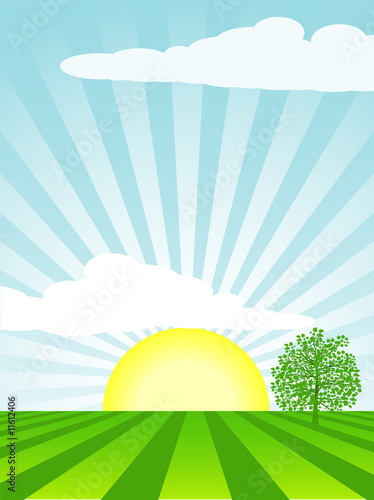 Spring cultivated landscape