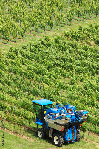 Obraz na płótnie Harvest w salonie