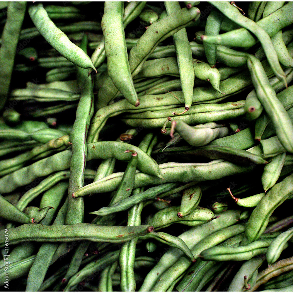 Green Beans Close Up Pattern Shimoga Market Karnataka India Green Beans Close Up Pattern Shimoga Market Karnataka India