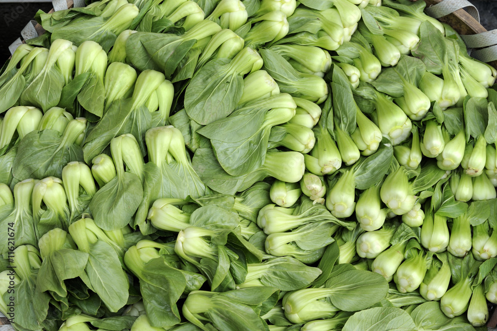 Fototapeta premium Baby Pak Choy (Chinese Cabbage)