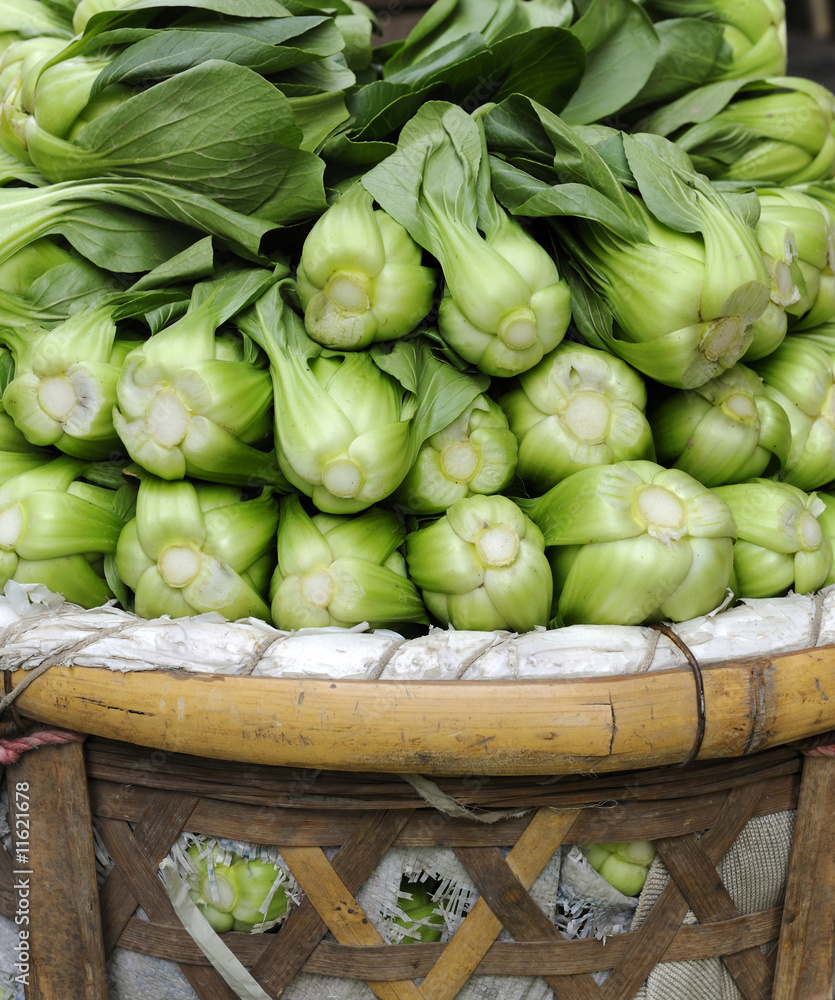 Baby Pak Choy (Chinese Cabbage) Baby Pak Choy (Chinese Cabbage)