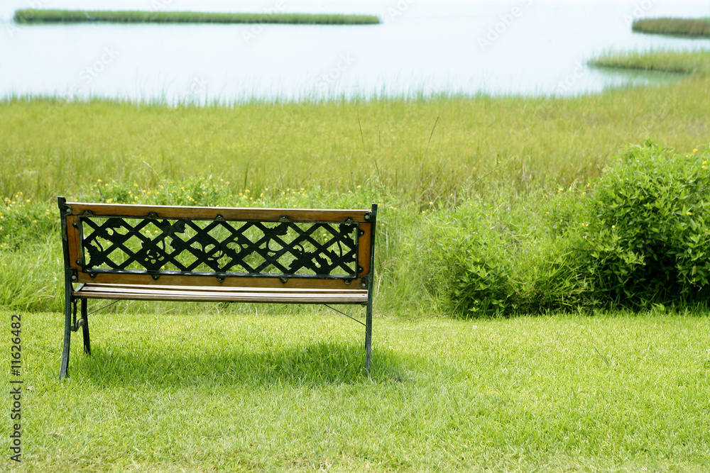 Bench over the green grass on the lake Bench over the green grass on the lake